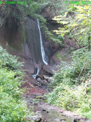 Wolfsschlucht 3