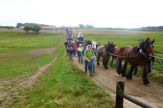 Tour Sainte Gertrud 1 2016